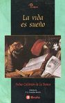 VIDA ES SUEÑO      ANAQUEL    43