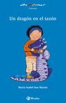 UN DRAGON EN EL TAZON ALTA AZU6 162