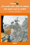 SE PUEDE SABER QUIEN HADEJADO ESTA PIEDRA AQUI EN MEDIO TCAN NA8+  42