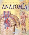 ATLAS ILUSTRADO ANATOMIA  8511