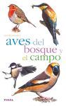 AVES DEL BOSQUE Y EL CAMPO TIKAL
