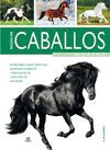 RAZAS DE CABALLOS O.VARIAS