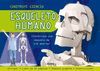 ESQUELETO HUMANO   REFERENC 3114 SUSAETA