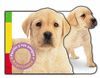 PERRITO Y SUS AMIGOS TIC-TAC  3148