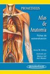 ATLAS DE ANATOMIA  FICHASDE AUTOEVALUACION