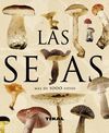 LAS SETAS O.VARIAS