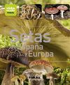 SETAS DE ESPAÑA Y EUROPA VIDA VERDE